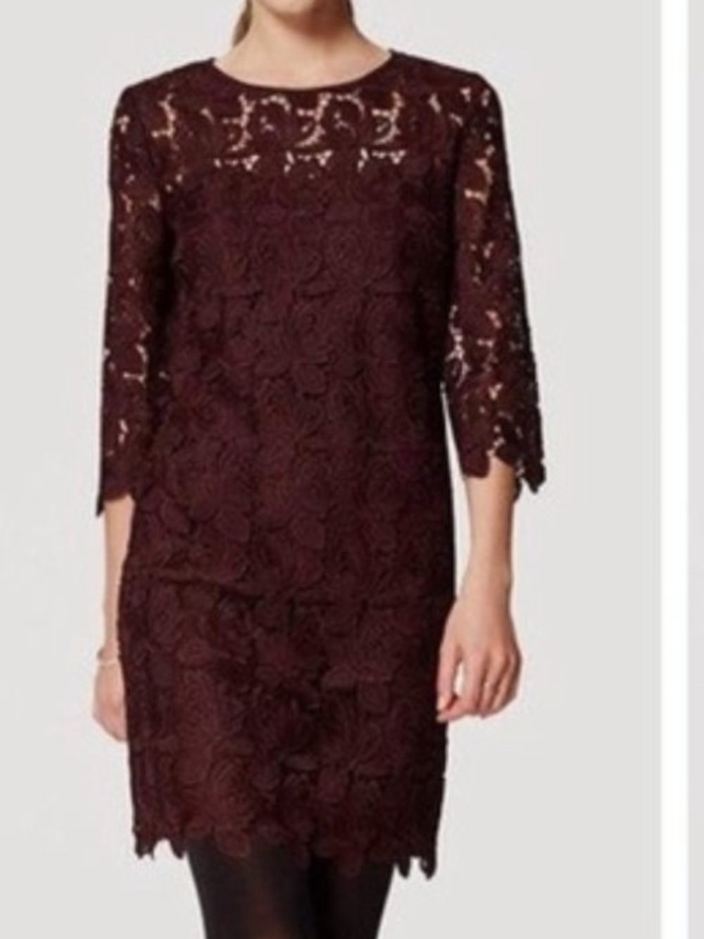 LOFT Floral Lace Eyelet Dress Size 2 NWT Cocktail Party